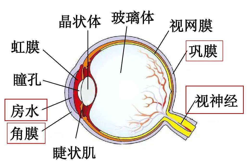 微信圖片_20220404101748.jpg
